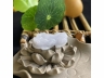 18翡翠貔貅