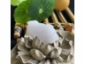 18翡翠貔貅