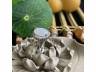 35翡翠戒指