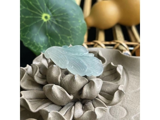 30羽毛
