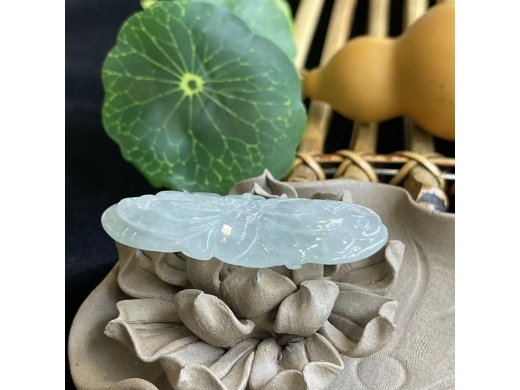 16富贵花开