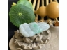 11翠观音