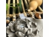 11翡翠戒指