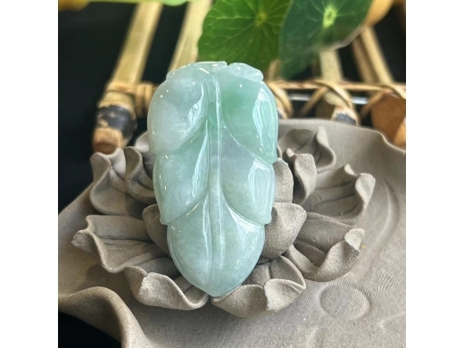 16金枝玉叶