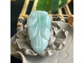16金枝玉叶