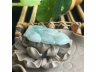 16金枝玉叶