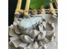 05福禄