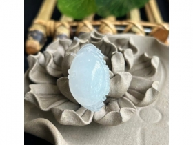 08神仙鱼