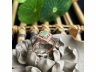 11翡翠戒指