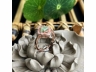 11翡翠戒指