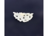 玉花片
