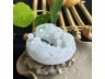 19紫罗兰龙牌