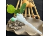 20翡翠簪子