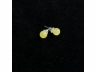 37蜜蜡耳钉