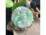 12凤凰于飞