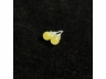 37蜜蜡耳钉