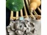 11福禄