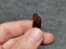 琥珀印章