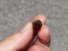 琥珀印章