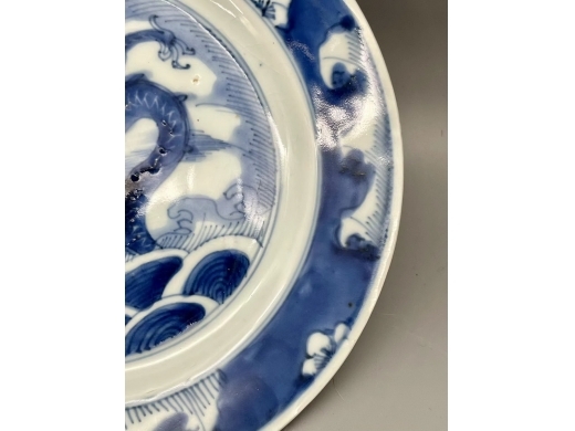 青花鱼化龙纹折沿盘