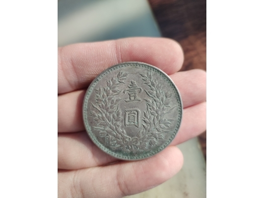 袁大头