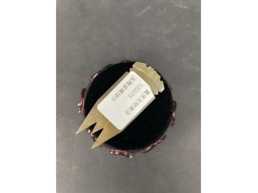 玉雕金蝉挂件