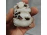 明代独占鳌头