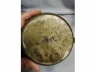 清代铜手炉