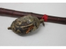 竹根烟袋