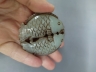 玉双鱼圆雕挂件