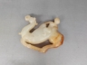 玉胡人献宝把件