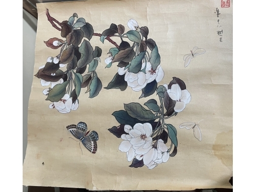 纸本拓心花卉