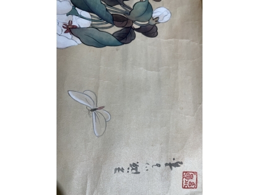 纸本拓心花卉
