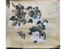纸本拓心花卉
