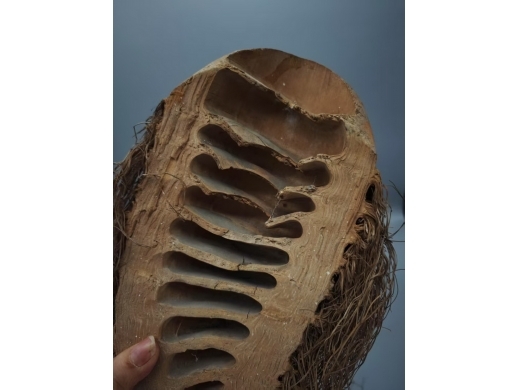 竹根寿星挂屏