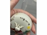 浅绛彩花开富贵暖酒壶