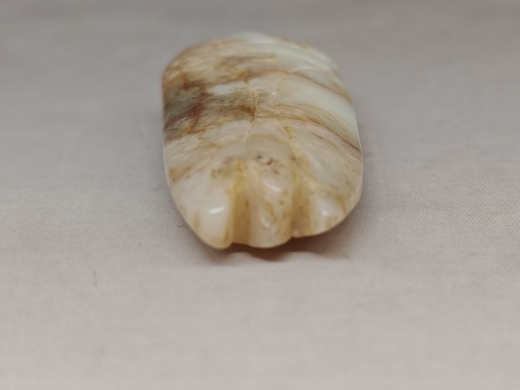 玉蝉