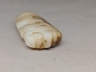 玉蝉