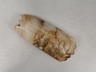 玉蝉