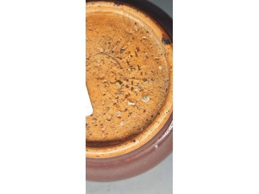 霁红釉罗汉式笔洗